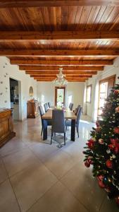 B&B Villa Euganea