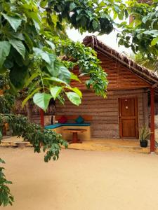 Coco Cottage Kite Surfing-Kalpitiya