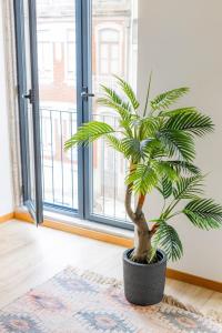 Urban Style in Bonfim I Porto