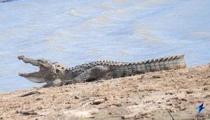 Natures peak Udawalawa