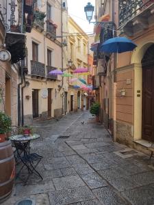 Hortensia Home img61