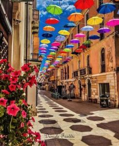 Hortensia Home img55