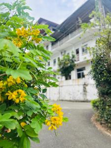 Kandy IVY Banks Lake View Resort