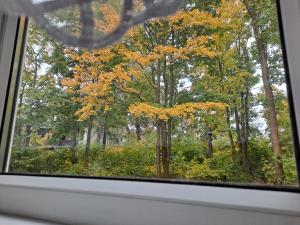 Niezależny apartament przy Parku Zdrojowym 667-666-609