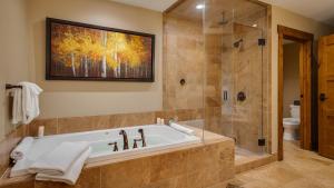 One Steamboat Place #512 Bison Peak