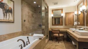 One Steamboat Place #419 Mount Zirkel