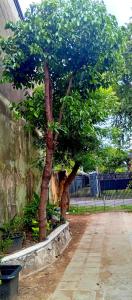 Brick & Wall Home stay