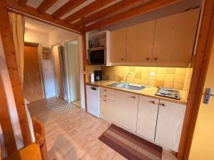 Appartement au pied des pistes à Villard-de-Lans - FR-1-515-29