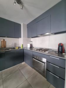 Se Arrienda Hermoso Departamento con vista al mar