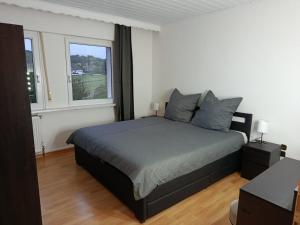 Haus an der Steinbachtalsperre