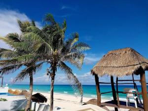 Zona Hotelera CANCÚN