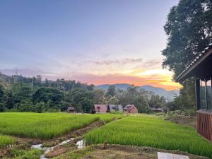 Ban Kaew Mo Ra Glamping & Restaurant