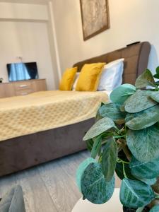 Q Loft Palas Central