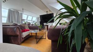 Best Penthouse in Vienna, 7min to 1st district