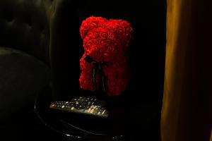 Appartement Rouge Elegance & Miroirs RER C