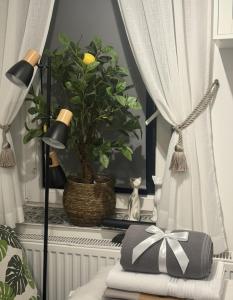 Przytulny pokój z łazienką w centrum Gdyni & Free Parking