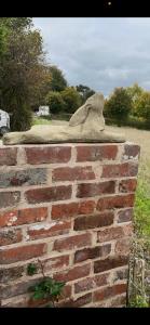 Meadows view shepherds hut