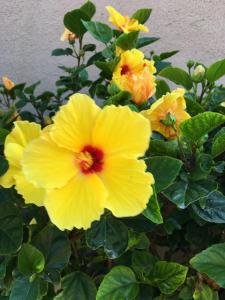 Casa Aconchegante Brisa do Mar - Praia do Foguete - Cabo Frio