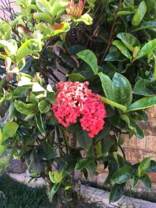 Casa Aconchegante Brisa do Mar - Praia do Foguete - Cabo Frio