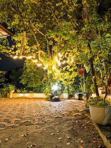 Green Villa Bandarawela