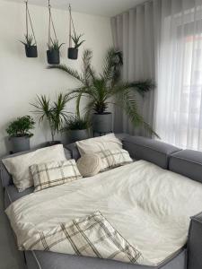 Bývaj u Mari v mestskom parku s bezplatným parkovaním