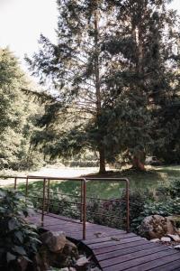 Nature stay in Alsace between stream and vineyard