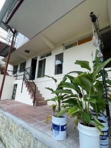 The House in the woods