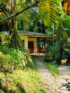 Finca Ardilla Jungle Lodge
