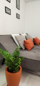 Apto completo! Academia, lavanderia, piscina, comércio!