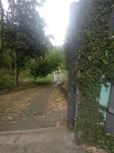 Estúdio Raiz da Mata