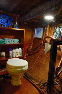 The Victorian Voyager