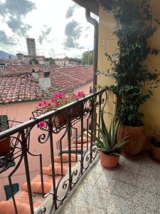 Casa Luisa, in the heart of the historic center of Lucca