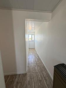 Luz del cielo premiun