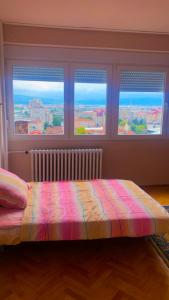 Stan na dan Leskovac