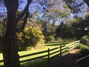 Dads Art Studio Artsy relaxed cosy country cabin