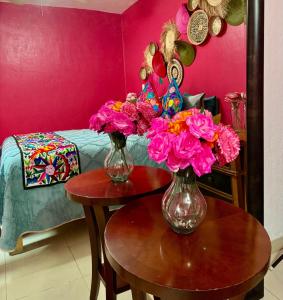 Casa Flamingos en el centro de Tlaquepaque