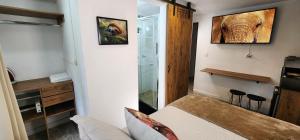 Casa de las Palmas 2