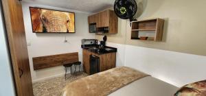 Casa de las Palmas 2