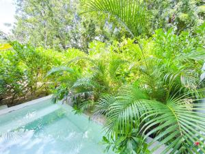 Private Pool New Apartment King Bed Wifi 303