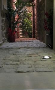 Notti O Tunn Luxury Rooms in centro