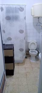 Cheap Nile view apartment