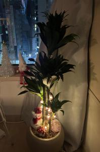 golden location in Seoul