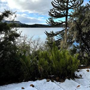 Cabañas ROCA DEL LAGO, en Villa Pehuenia