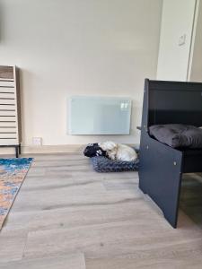 Modern Newly Renovated Home on the Broads