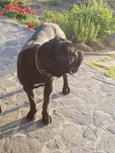 B&B Gennemara - Porta del Mare img47