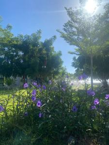 Ozfarm-kiteBoarding School