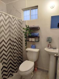 Tlaxcala Apartment # 4