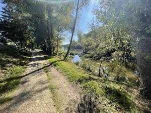 Gîte Historique à Tours avec Jardin et WIFI Inclus - FR-1-381-635