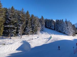 Studio au pied des pistes – 5 couchages - FR-1-771-88