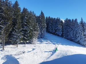 Studio au pied des pistes – 5 couchages - FR-1-771-88